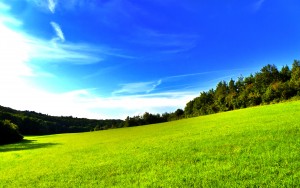 A Polarised Sky
